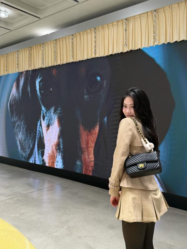 626213231_18080358257197346_5193088816093787603_n