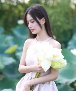 Concept “Lotus Whisper” – Lời Thì Thầm Dịu Dàng Của Những Đóa Sen Trong Gió Sớm 🍃