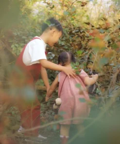 Alternative view of Concept “Golden Meadow” – Ánh Nắng Nhẹ Phủ Lên Cánh Đồng Bình Yên