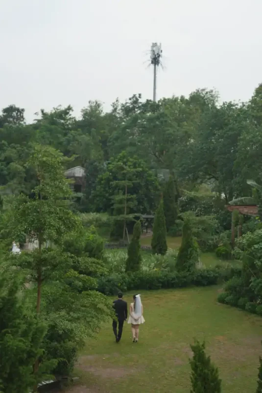 gallery_c7c65c3a-d835-455a-8dd1-d7477ae686a6